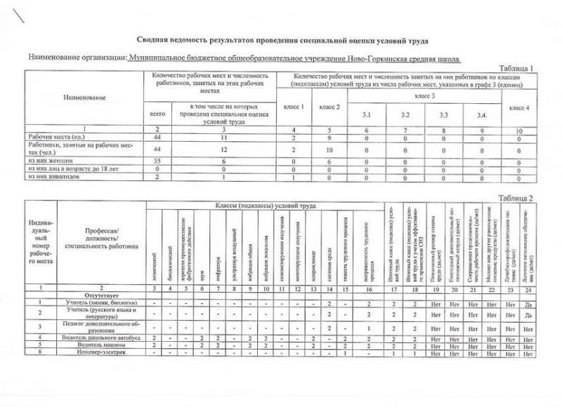 Отчёт о проведении специальной оценки условий труда в Муниципальном бюджетном общеобразовательном учреждение Ново-Горкинская средняя школа от 25 июля 2018 года